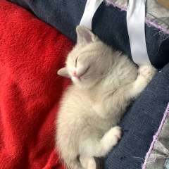 Фото отзыва 10964688