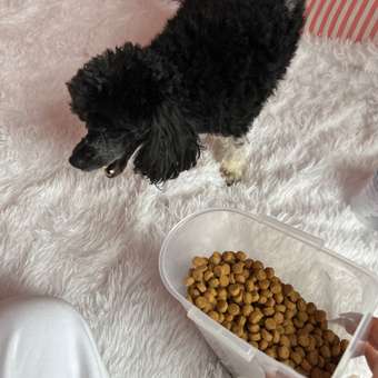Корм для собак Royal Canin 500г мелких пород полнорационный для снижения веса сухой: отзыв пользователя. Зоомагазин Зоозавр