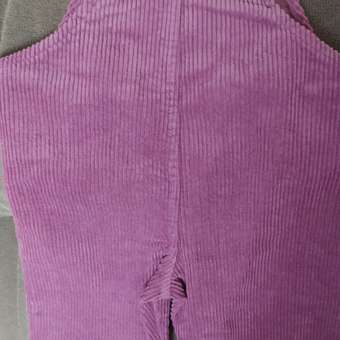 Полукомбинезон BabyGo: отзыв пользователя Детский Мир