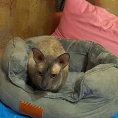 Фото отзыва 10617142