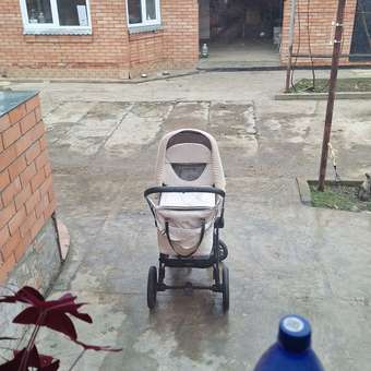 Коляска 3в1 Farfello для новорожденных бежевый: отзыв пользователя Детский Мир