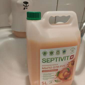 Мыло жидкое SEPTIVIT Нежный персик 5200 г 5000 мл: отзыв пользователя Детский Мир
