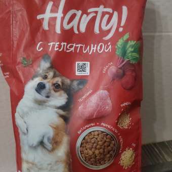 Корм для собак Harty 2,5кг с телятиной для взрослых активных всех пород полнорационный сухой: отзыв пользователя. Зоомагазин Зоозавр