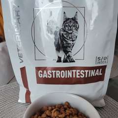 Фото отзыва 10982929