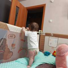 Фото отзыва 11157150