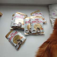 Фото отзыва 10918032