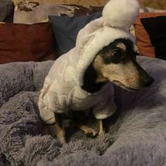 Фото отзыва 10763159