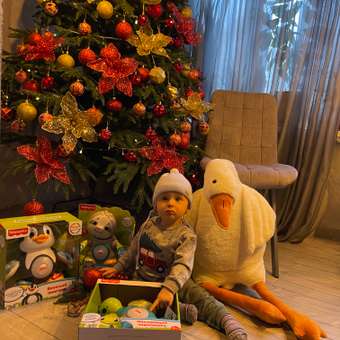 Игрушка Fisher Price: отзыв пользователя ДетМир