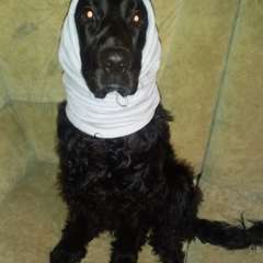 Фото отзыва 10762500