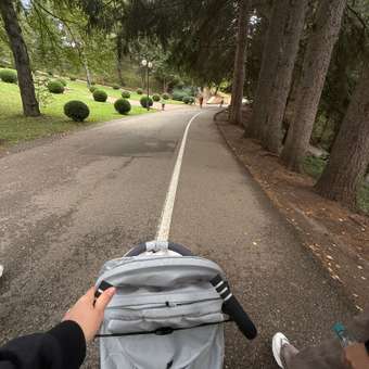 Коляска прогулочная JOVOLA Shiny бежевый: отзыв пользователя Детский Мир