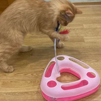 Трек для кошек Ripoma розовый: отзыв пользователя. Зоомагазин Зоозавр