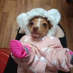 Фото отзыва 10689136