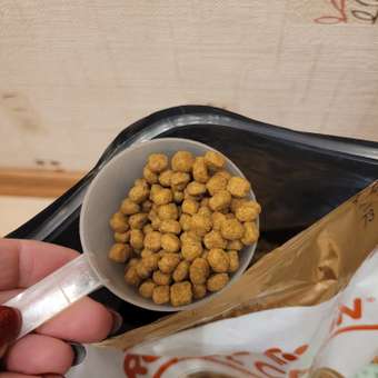 Корм для собак ROYAL CANIN породы чихуахуа 3кг: отзыв пользователя. Зоомагазин Зоозавр