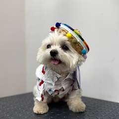 Фото отзыва 9774485