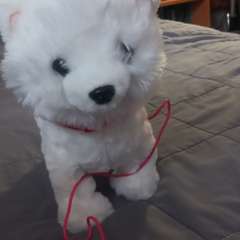 Фото отзыва 10765560