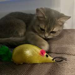 Фото отзыва 11072073