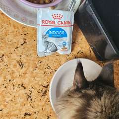 Фото отзыва 10941426