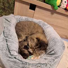 Фото отзыва 10995148