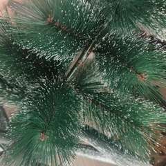 Фото отзыва 10690072