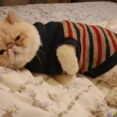 Фото отзыва 10979874