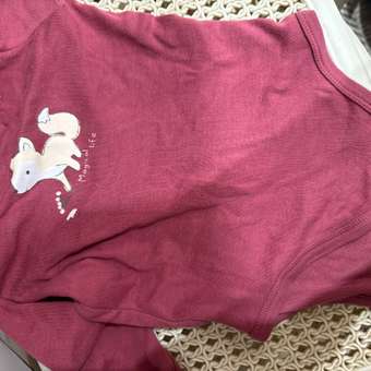 Боди BabyGо 2 шт: отзыв пользователя Детский Мир