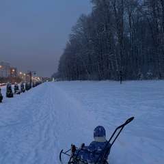 Фото отзыва 10833430