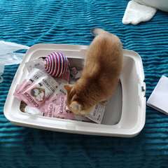 Фото отзыва 10581378