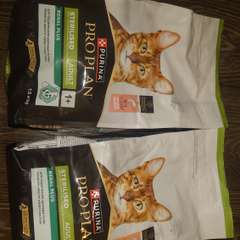 Фото отзыва 10695975