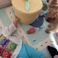 Фото отзыва 11065159