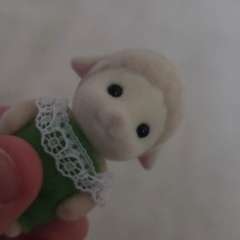 Фото отзыва 10849548