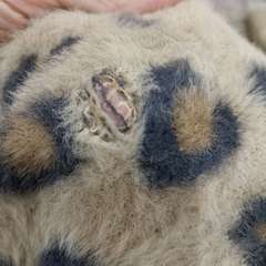 Фото отзыва 10733381