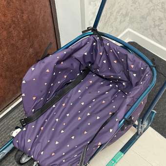 Санки NiKA kids Тимка 6 универсал морской лак: отзыв пользователя Детский Мир