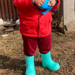 Фото отзыва 11202701