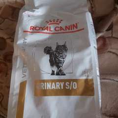 Фото отзыва 10750995