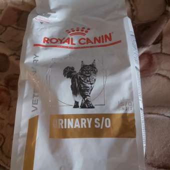 Корм для кошек ROYAL CANIN Veterinary Diet Urinary S/O LP34 Лечение и профилактика МКБ 1.5кг: отзыв пользователя. Зоомагазин Зоозавр