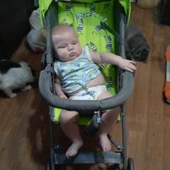 Фото отзыва 10746086