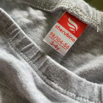 Трусы Cherubino: отзыв пользователя Детский Мир