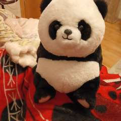 Фото отзыва 10990895