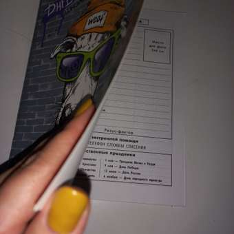 Дневник школьный Феникс + Стрит арт 49425: отзыв пользователя Детский Мир