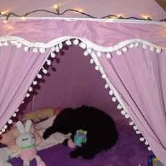 Фото отзыва 10937454