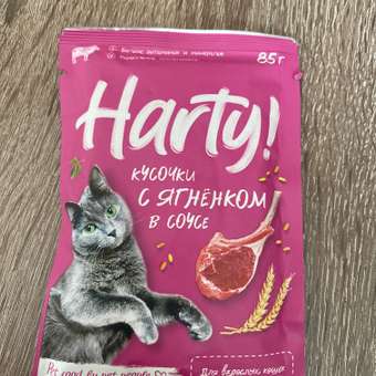 Корм для кошек Harty 85г с ягненком для взрослых кусочки в соусе консервированный: отзыв пользователя. Зоомагазин Зоозавр