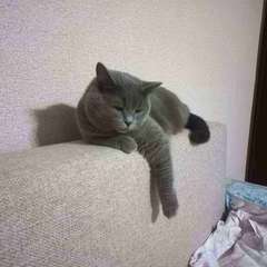 Фото отзыва 10995438