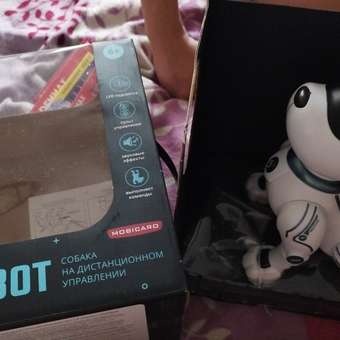 Собака РУ Mobicaro Собака: отзыв пользователя Детский Мир