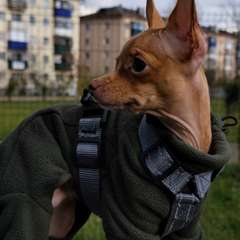 Фото отзыва 10616277