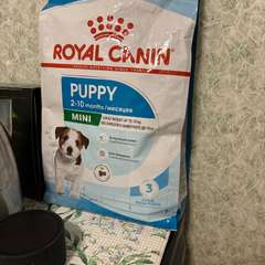 Фото отзыва 10758810