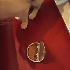 Фото отзыва 10650417