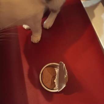 Корм влажный Зоогурман Holistic С уткой и шпинатом, 100 г х 20 шт.: отзыв пользователя. Зоомагазин Зоозавр