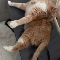 Фото отзыва 11097406