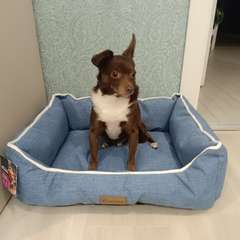 Фото отзыва 10955895