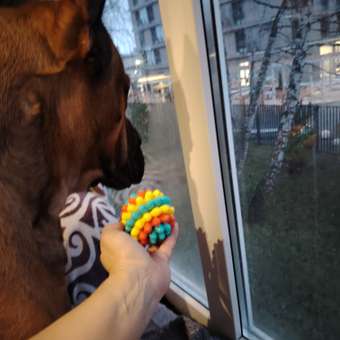 Игрушка для собак Barbaks Мяч-ёж TPR 8см: отзыв пользователя. Зоомагазин Зоозавр